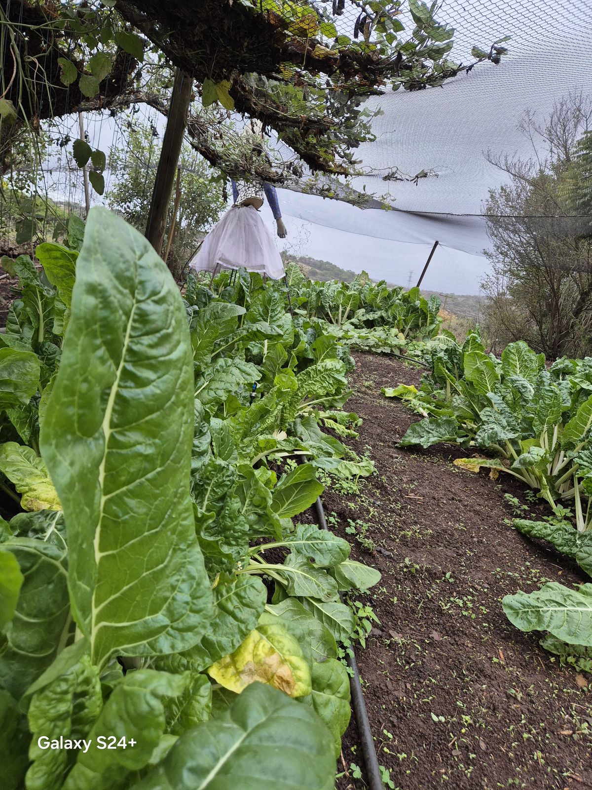 cf746ad6-b5b2-42ae-9d1a-2347d15db67d